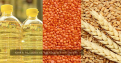 Govt to buy edible oil, lentil, wheat worth Tk 662cr
