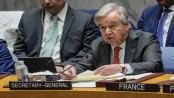 Israel's rejection of two-state solution threatens global peace, warns UN chief
