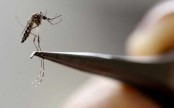 China reports first case of imported Zika virus