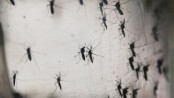 WHO confirmed Bangladesh first Zika virus case