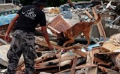 Survivor rescued 13 days after deadly Ecuador quake