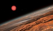 Three Earth-sized planets discovered