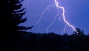 Lightning kills couple in Chandpur