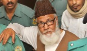 Nizami shifted to Dhaka Central Jail