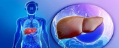 New research shows fasting helps fight fatty liver disease