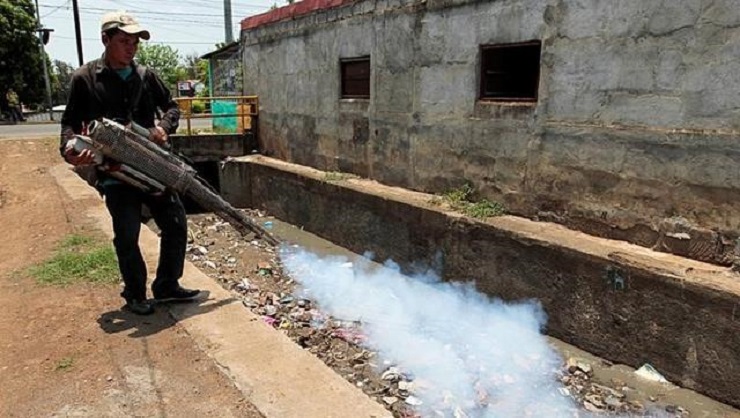 Zika crisis fuelled by ‘massive policy failure’: WHO chief 