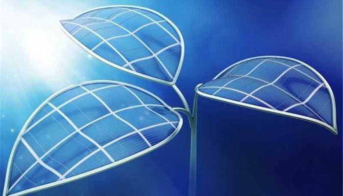 ‘Bionic’ leaf turns sunlight into liquid fuel