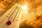 Excessive heat warnings hit millions of Americans