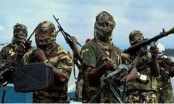 16 Boko Haram militants killed in Nigeria