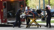 Shooter kills five at Florida airport, arrested