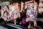 Meat traders to sit with Tofail Sunday