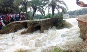 Five more flood protective dikes break in Raninagar