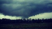 Tornadoes kill at least 14 in Alabama
