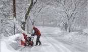 
Blizzards disrupt public life in USA
