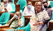 Bangladesh always with Palestinians, reaffirms PM
