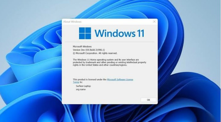 Malware is spreading by the name of 'Windows 11'