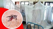 Dengue: 146 hospitalised in last 24-hr