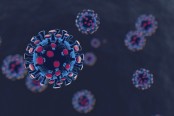Two Omicron cases detected in country: Health minister

