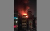 Firework in New Year celebration causes fire in 10 places
