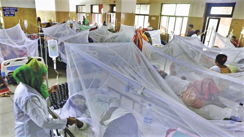 Dengue: 9 more patients hospitalised in 24 hrs
