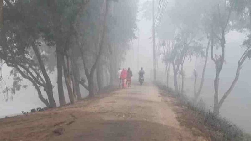 People shiver as cold wave priests in Bangladesh
